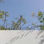 Casa de Férias Casa Da Oliveira