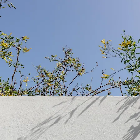 Сasa de vacaciones Casa Da Oliveira